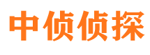 望城市婚姻出轨调查